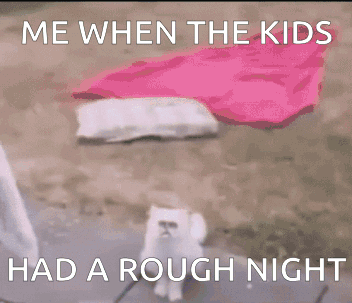 Cat Saying Me When Kids Had Rough Night GIF