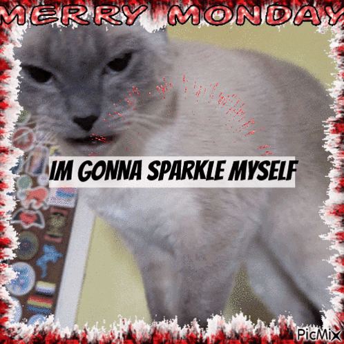 Cat Saying Merry Monday