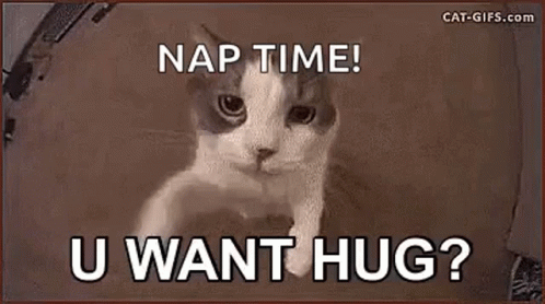 Cat Saying Nap Time! U Want Hug?