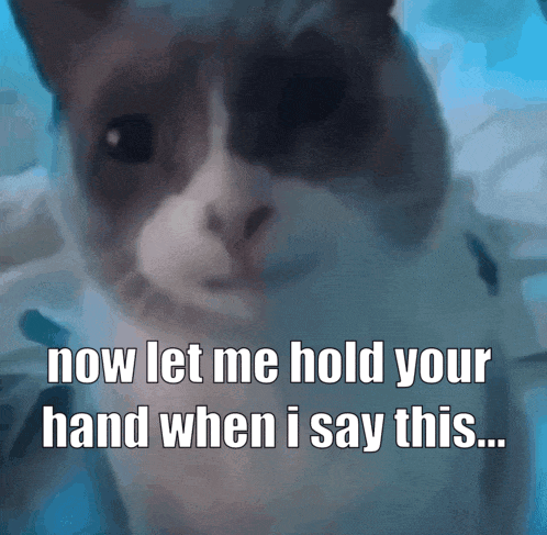 Cat Saying Now Let Me Hold Your Hand