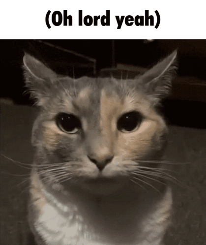 Cat Saying Oh Lord Yeah