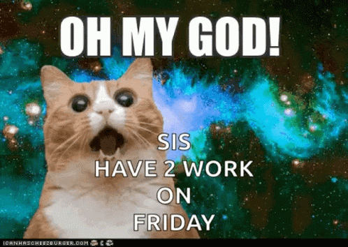 Cat Saying Oh My God Sis Have 2 Work Friday Galaxy