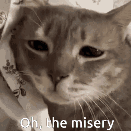 Cat Saying Oh the Misery