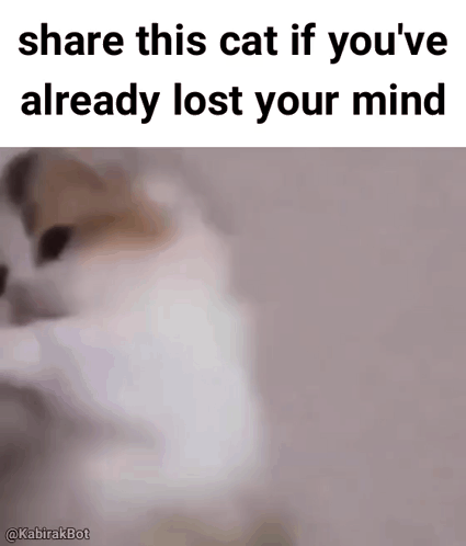 Cat Saying Share This Cat If You've Already Lost Your Mind