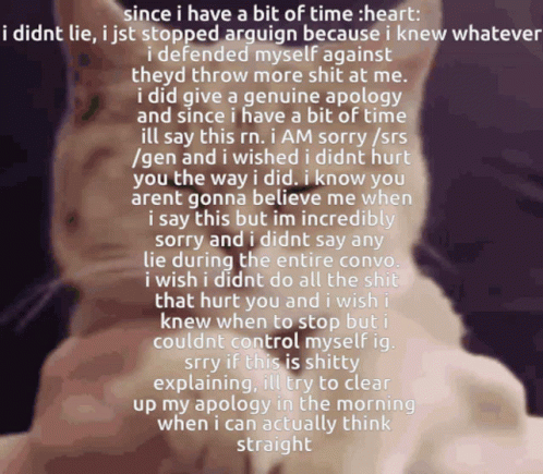 Cat Saying Since I Have a Bit of Time