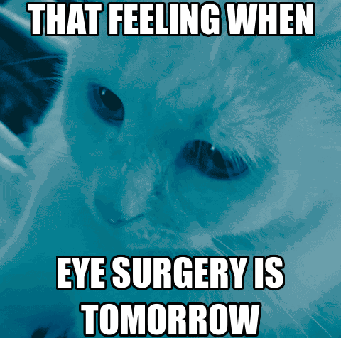 Cat Saying That Feeling When Eye Surgery Is Tomorrow