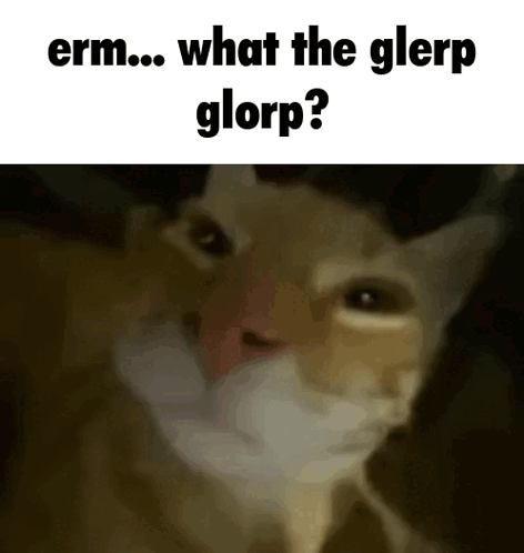 Cat Saying What the Glerp Glorp