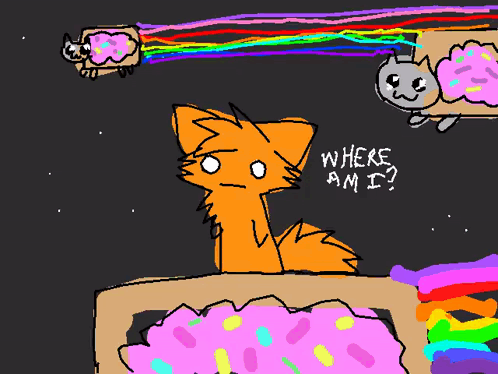 Cat Saying Where Am I
