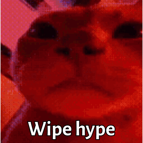 Cat Saying Wipe Hype