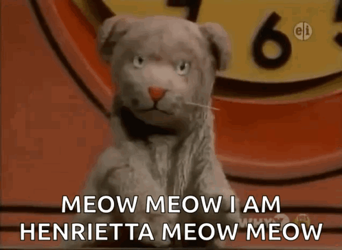 Cat Says Meow Meow I Am Henrietta Meow Meow in Front of Clock
