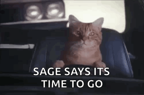 Cat Says Sage Says Its Time to Go