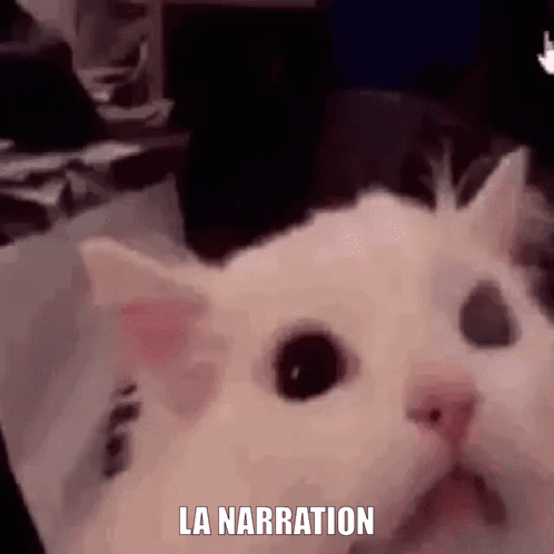 Cat Screaming Being So Mad GIF