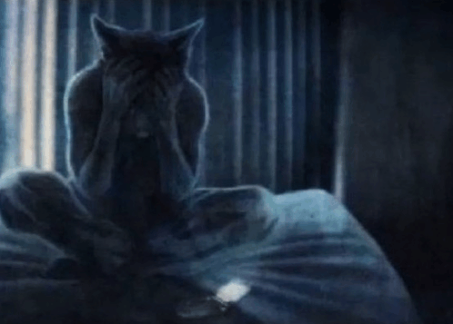 Cat Screaming Mind Of Problems GIF