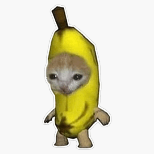 Cat Screaming On The Banana Suit GIF