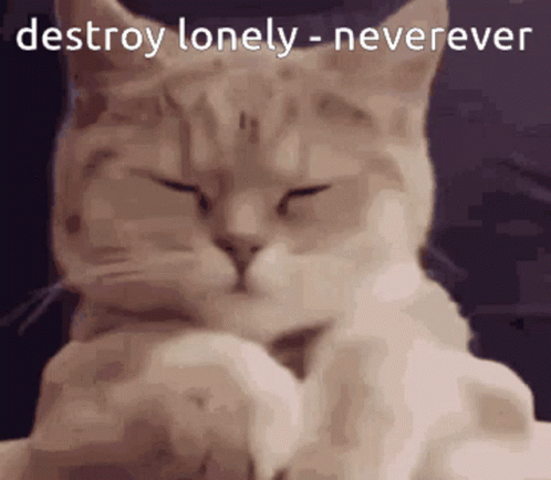 Cat Shaking Head Meme Destroy Lonely Neverever GIF