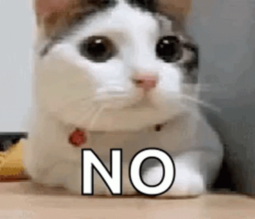 Cat Shaking Head No! GIF
