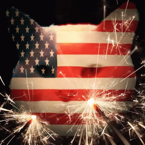 Cat Shaped American Flag With Sparklers