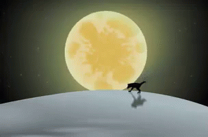 Cat Silhouette On Hill In Front Of Full Moon GIF