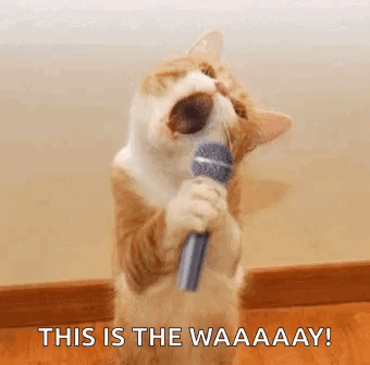 Cat Singing Into Microphone This Is The Waaaay
