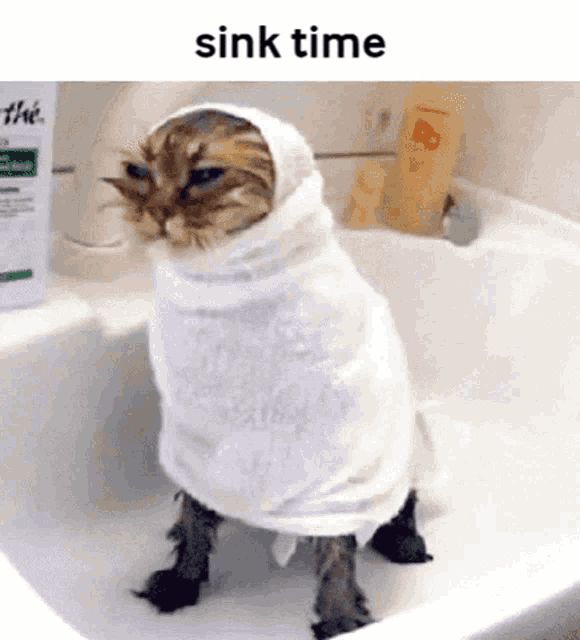 Cat Sink Gif GIF