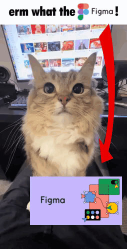 Cat Sitting At Computer Saying Figma GIF