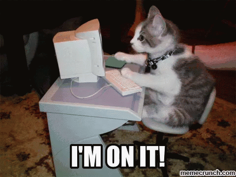 Cat Sitting at Desk With Computer