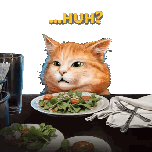Cat Sitting at Table Looking at Food