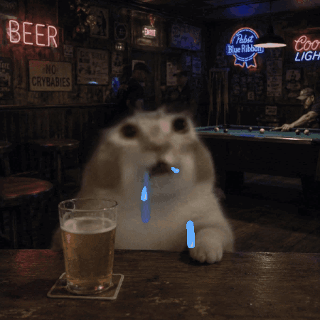 Cat Sitting at Table With Beer Sign