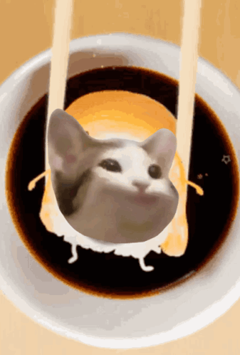 Cat Sitting In Bowl Of Sauce GIF