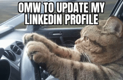 Cat Sitting in Car With Omw to Update LinkedIn