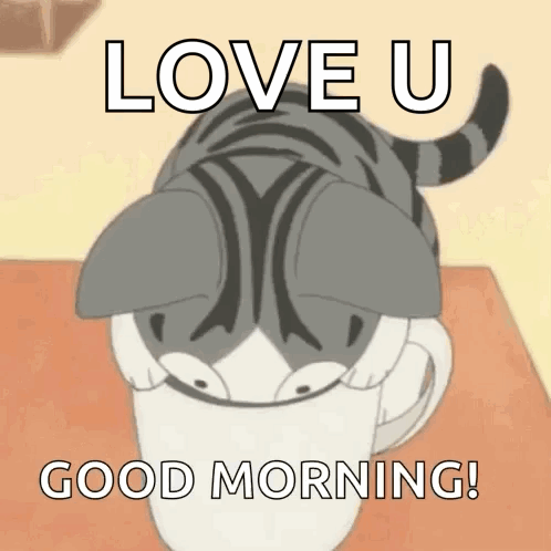 Cat Sitting in Cup Saying Love U Good Morning