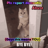 Cat Sitting in Doorway Plz Report Domestic Abuse