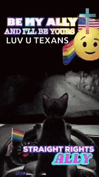 Cat Sitting in Driver's Seat Holding Rainbow Flag