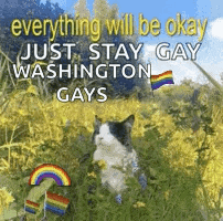 Cat Sitting in Flowers With Rainbow and Washington Gay Flag