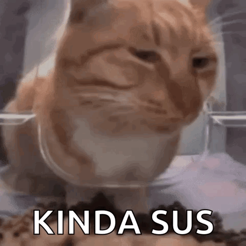 Cat Sitting In Food Bowl Kinda Sus GIF