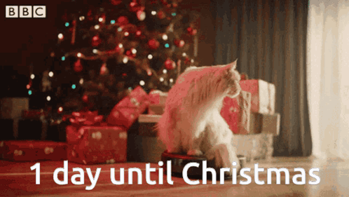 Cat Sitting in Front of Christmas Tree Saying 1 Day Until Christmas