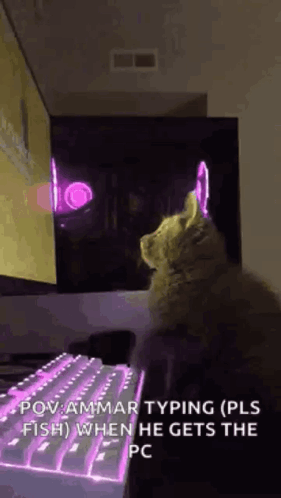 Cat Sitting in Front of Computer Keyboard