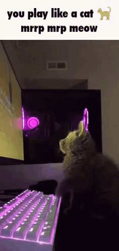Cat Sitting in Front of Computer Keyboard