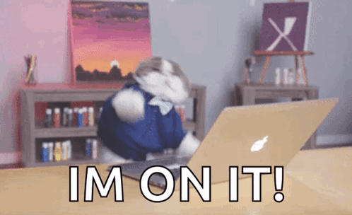 Cat Sitting in Front of Laptop Saying Im On It