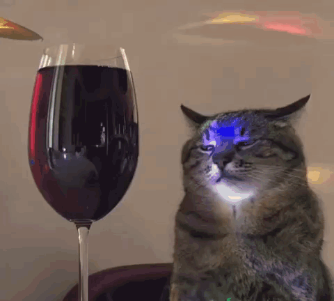 Cat Sitting in Front of Wine