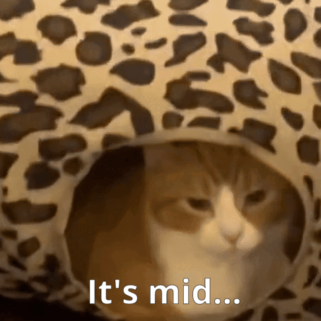 Cat Sitting In Leopard Print Bed GIF