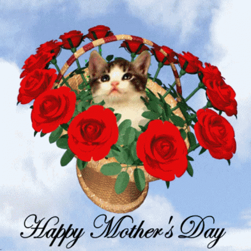 Cat Sitting In Rose Basket Happy Mother's Day GIF