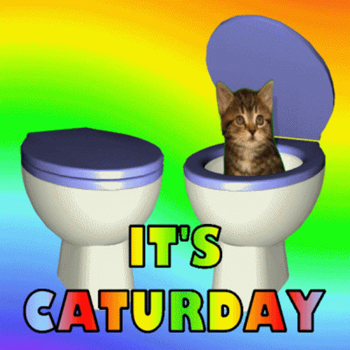 Cat Sitting in Toilet Saying It's Saturday