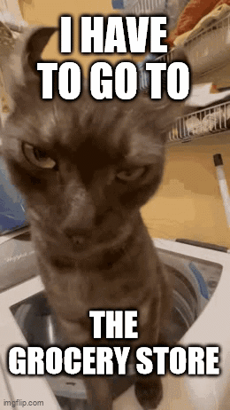 Cat Sitting in Washing Machine I Have to Go to the Grocery Store