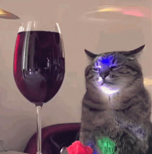 Cat Sitting Next to Glass of Wine