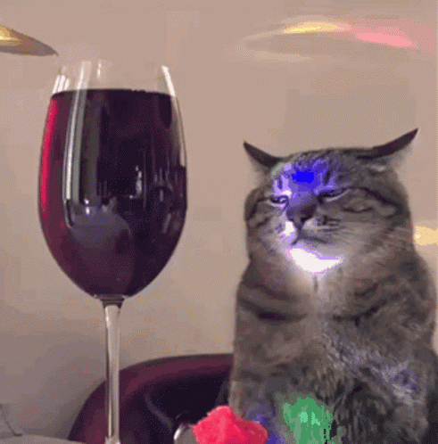 Cat Sitting Next to Glass of Wine