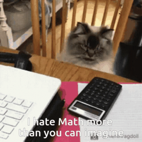 Cat Sitting Next To Laptop And Calculator GIF