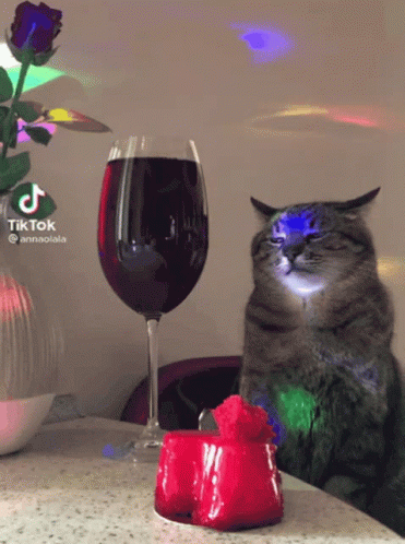 Cat Sitting Next to Wine and Candle With TikTok Logo