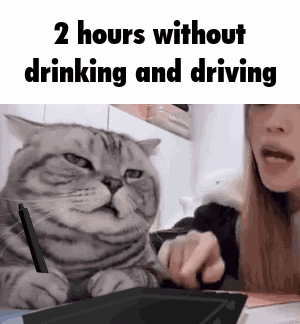 Cat Sitting Next to Woman Holding Pen and Tablet