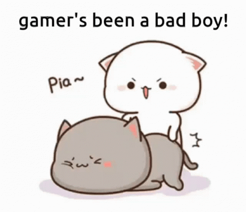 Cat Sitting on Another Cat With Gamer's Been a Bad Boy